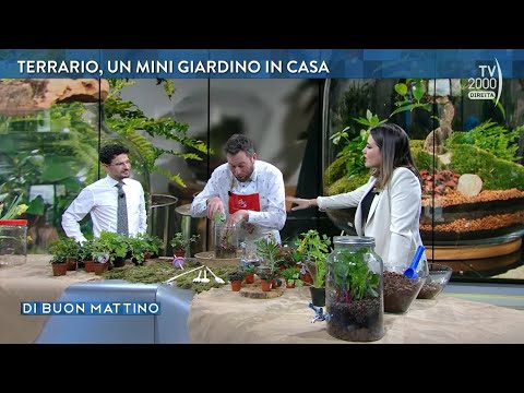 Di Buon Mattino (Tv2000) - Puntata dell'11 aprile 2023