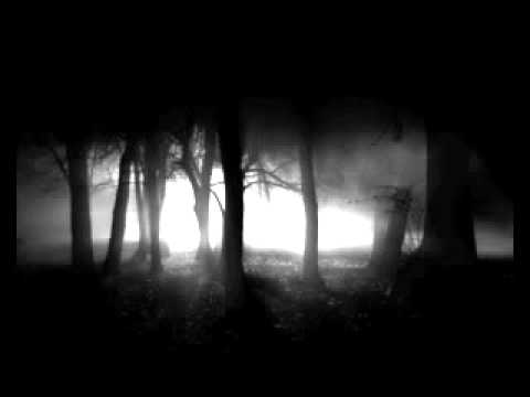 Alexi Murdoch - Through The Dark ( Album Version )