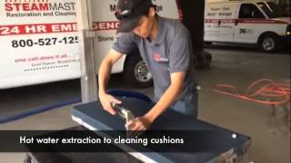 Cleaning and disinfecting RV Sofa Cushions