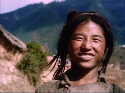 Life Upper-Intermediate - Unit 02 - History of film