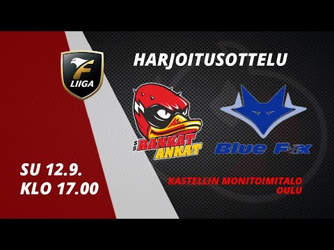 Highlights: SSRA vs. Blue Fox (12.9.2021) harjoitusottelu