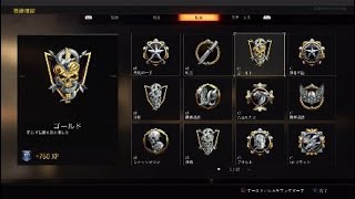 【Bo4】圧倒的無双！
