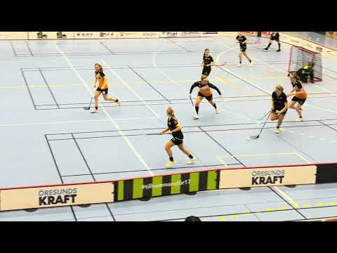 Highlights Damer Div.1 Region Västsvenska Åstorp/Kvidinge IBS - FBC Engelholm 2-5