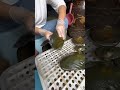 Pearl Seafood Hunting Pearls Picking Pearls Fishing Food Satisfying Relax Fish Outdoors