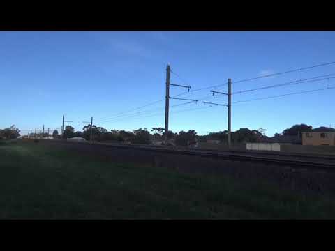 8231 BL30 BL33 8124 on 1GK5 in hoppers crossing