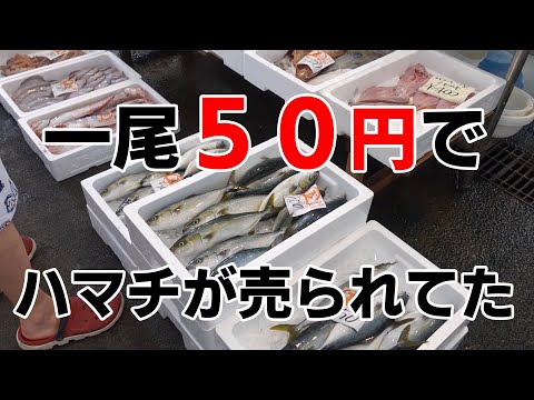 Centro de Pescado Wakasa Obama y Muelle de Pescadores [Mercado de Pescado de Fukui]