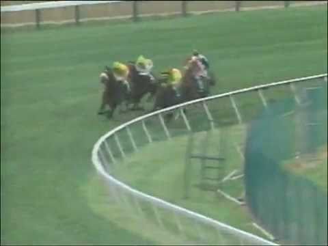 1994 Early Times Dixie - Lure -vs- Paradise Creek