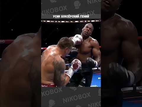 Джо Роган и Марк Керр: Усик — боксёрский гений  #бокс #boxing