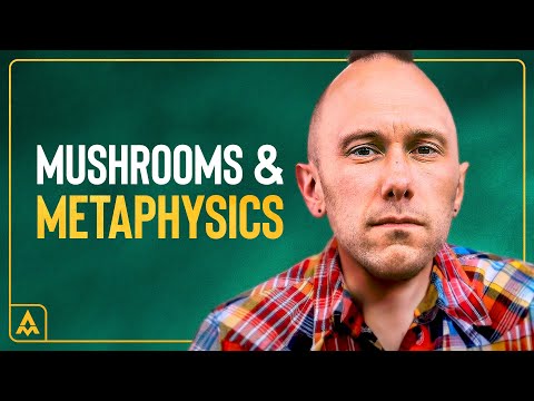 Psychedelic Spirituality with East Forest & Aubrey Marcus | Aubrey Marcus Podcast #279