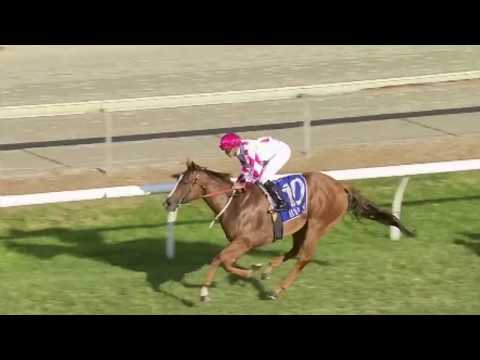 2020 National Broodmare Sale - Champagne Cuddles