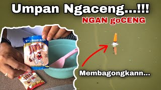 Download lagu NGACENG Bait: Super Cheap, Only 5,000 Rupiah, But Really Delicious | Effective Bait for Carp mp3 Download lagu NGACENG Bait: Super Cheap, Only 5,000 Rupiah, But Really Delicious | Effective Bait for Carp mp3