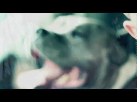 Sheytan -- Tats on my Arm (Official HD Video)