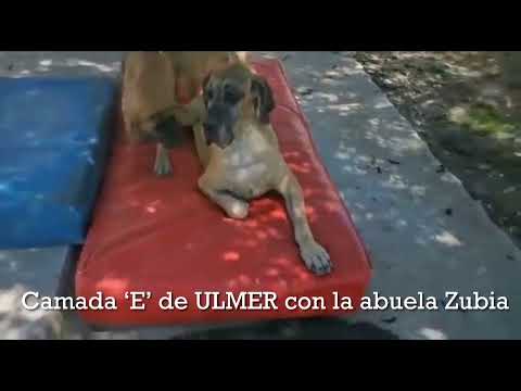 Zubia con sus Nietos ❤️