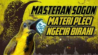 Download lagu MASTERAN SOGON‼️ MATERI PLECI NGECIR BIRAHI #sogon #sogongacor #sogokontong #sunbird mp3