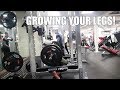 HOW TO GROW YOUR LEGS | Crayford | Leg workout