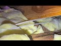 A Lot of Ants Traveling in the Attic in Ocean Grove, NJ