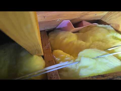 A Lot of Ants Traveling in the Attic in Ocean Grove, NJ
