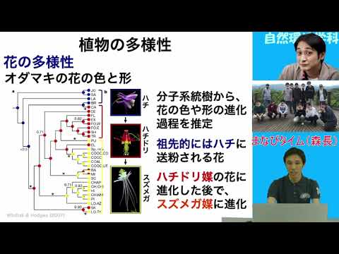生命科学科 植物の共通性と多様性（自然環境学科まなびタイム20210822am森長先生）