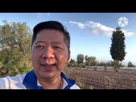 Video: Xuất Khẩu Lao Động Hy Lạp Cho Các Bạn Muốn Tìm Hiểu