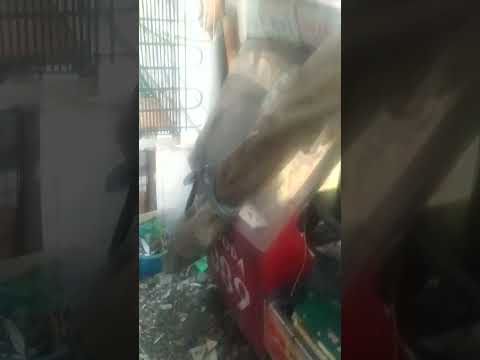 siga Kasi bartolina MUNA sya