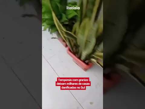 TEMPORAIS COM GRANIZO DEIXAM MILHARES DE CASAS DANIFICADAS NO SUL
