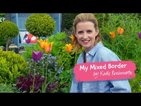 My Mixed Border by Katie Rushworth