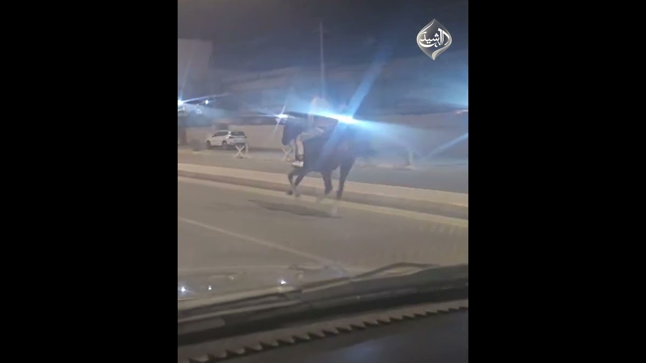 فيديو | شاب يمتطي جوادًا ويتجول في شوارع مدينة الفلوجة بمحافظة الانبار