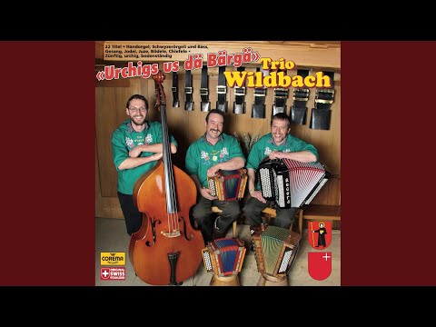 Trio Hueber - Ke Gäld Debi - Misc Originals