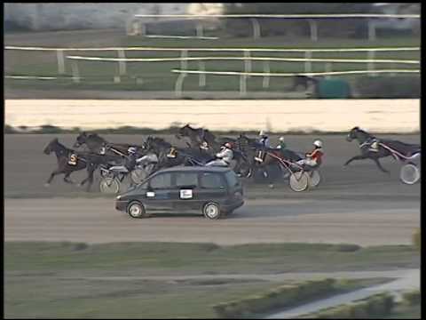 Trotto 23/11/2014 - 3° corsa