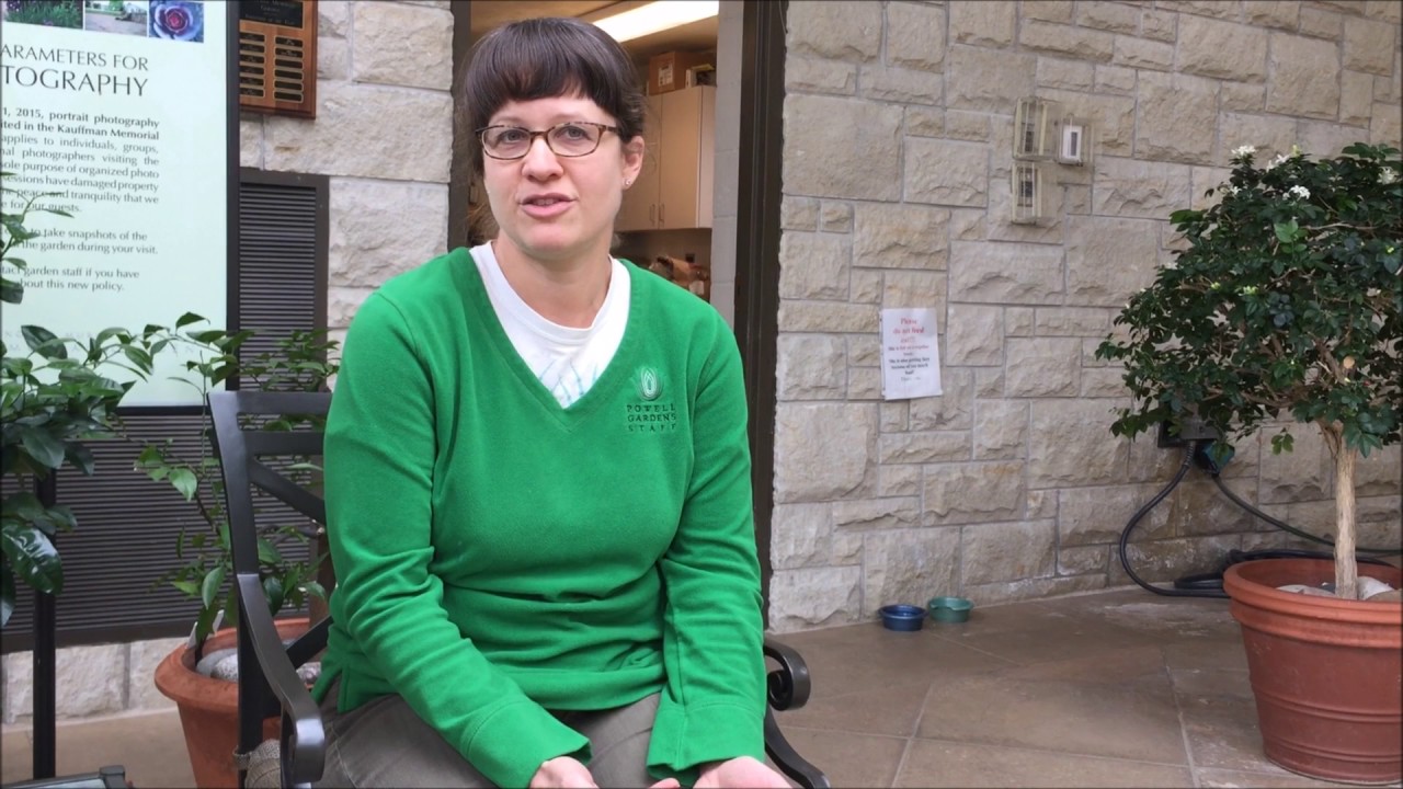 Exploring Ecological Citizenship