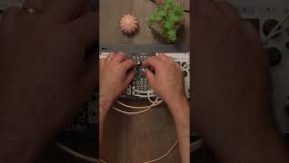 Video thumbnail for First explorations with the Qu-Bit Mojave⁠. #perfectcircuit #qubitmojave #granularsynthesis by Perfect Circuit