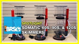 Adding a Somatic Protein Skimmer to your reef tank - BRStv