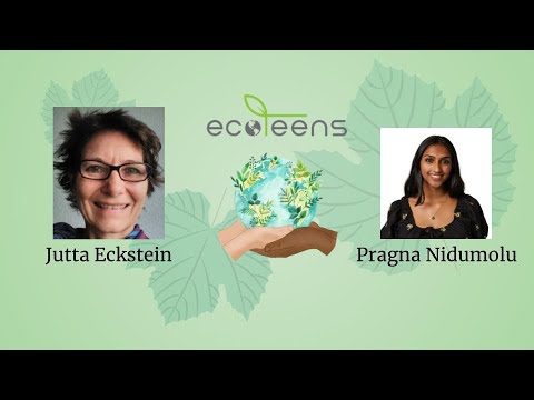 The Green Stories with Jutta Eckstein
