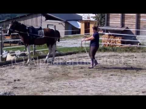 Travers links Jumper 130829