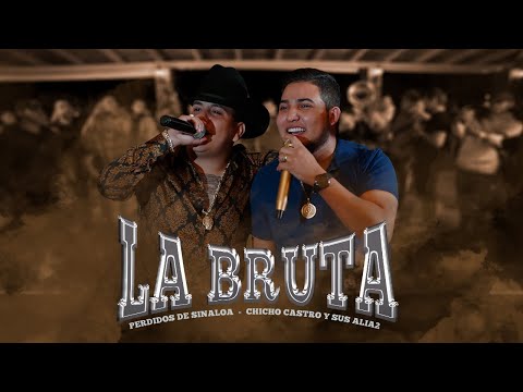 Perdidos de Sinaloa - La Bruta ft. Chicho Castro (En Vivo)