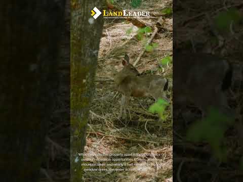 Hayes Springs Ranch | Shasta County, California | Ranch for Sale