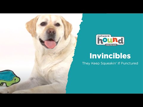Игрушка для собак Outward Hound Invincibles Geсko (Непобедимый Геккон-пищалка) зеленый 36 см (oh32070) - фото 1 - id-p1665574680