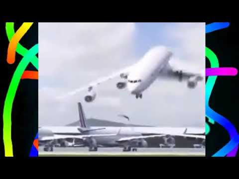 AIR FRANCE plane😂Bird Dancing in Slowmottion-3D Animation by Fact Icons BD