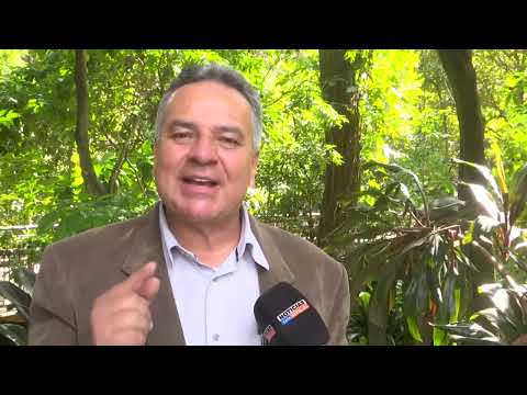 ¿Sin plan el fin de semana? Este corregimiento en San Pedro de los Milagros tendrá fiestas