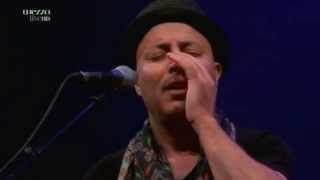 Dhafer Youssef  "birds requiem"