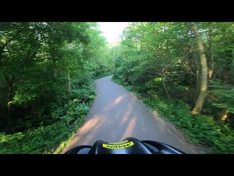 SCOUSE JUNGLE, HALEWOOD TRIANGLE 🚴 🦁& 🐅& 🐻 OH MY...