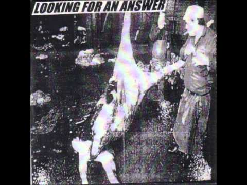 Looking For An Answer - La Cancion De Los Animales (Robb Johnson)