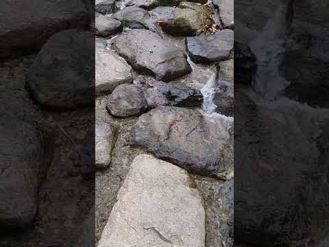 230325 : 청량 cool