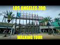 Los Angeles Zoo Walking Tour Full Walkthrough With Ultra Closeup Shots Of Animals 4k