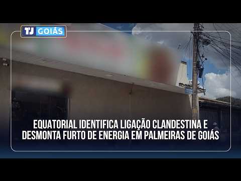 EQUATORIAL GOIÁS IDENTIFICA LIGAÇÃO CLANDESTINA E DESMONTA FURTO DE ENERGIA EM PALMEIRAS DE GOIÁS