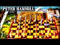 PETER HAMMILL - Solitude