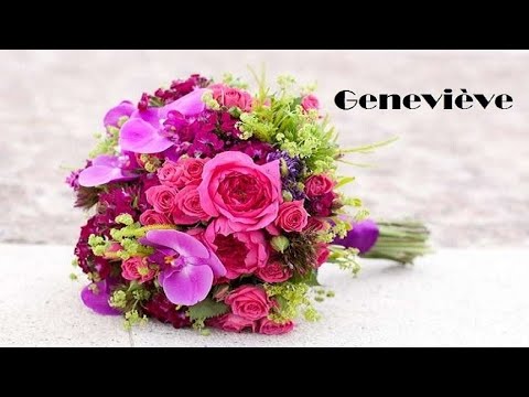 Parodie Anniversaire Genevieve Johnny Hallyday Gabrielle Pastiches Parodies De Chansons