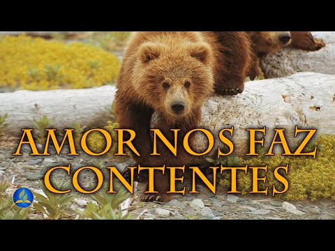 Hinário Adventista 238 - AMOR NOS FAZ CONTENTES