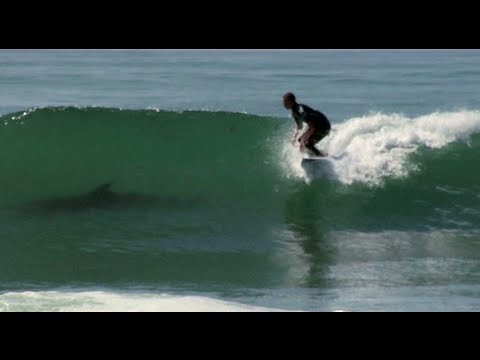 Kolohe Andino: Shark or Dolphin? + Jordy Smith and Mick Fanning Shred Fest!