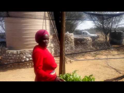 Food Security For 500 Children In Namibia